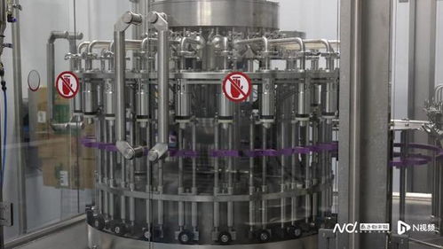 酸澀水果變身 致富果 ,小油柑如何 撬動 大產業