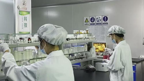 碧蓮生物 化妝品工廠(chǎng)為品牌代加工壓力大不大,科技探索創(chuàng)新產(chǎn)品