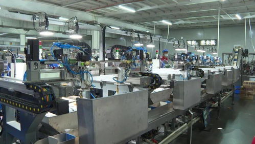 袋裝螺螄粉 包裝機(jī)器人 上線(xiàn)